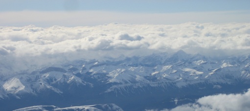 IMG_4881 IMG_4881