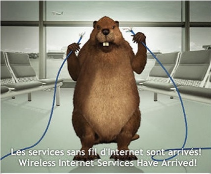 Rodent-Network